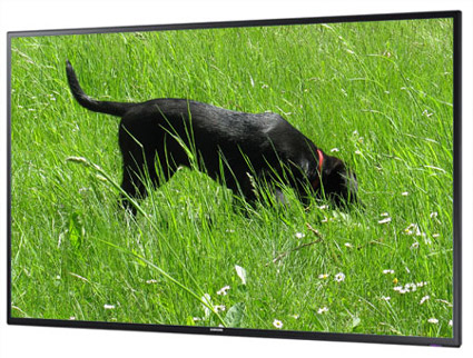 Samsung MD65C - 65Zoll LCD Display Full HD